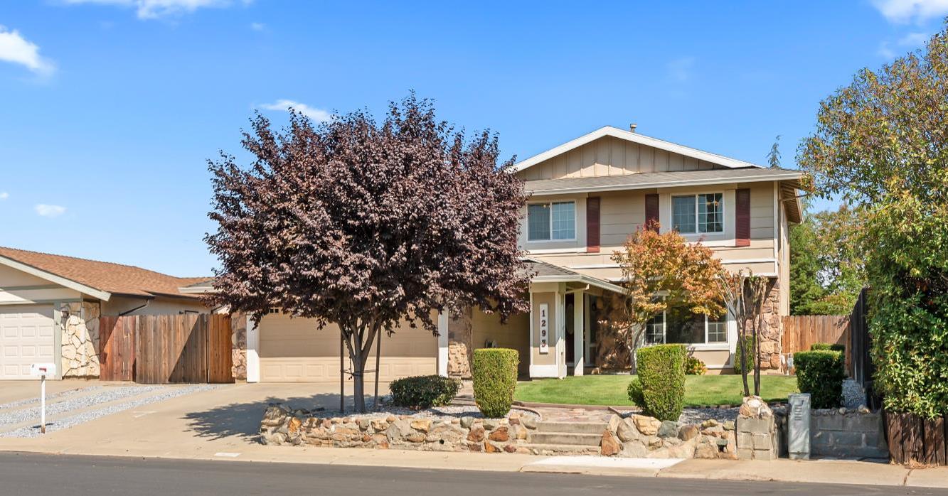1293 Nadene Drive