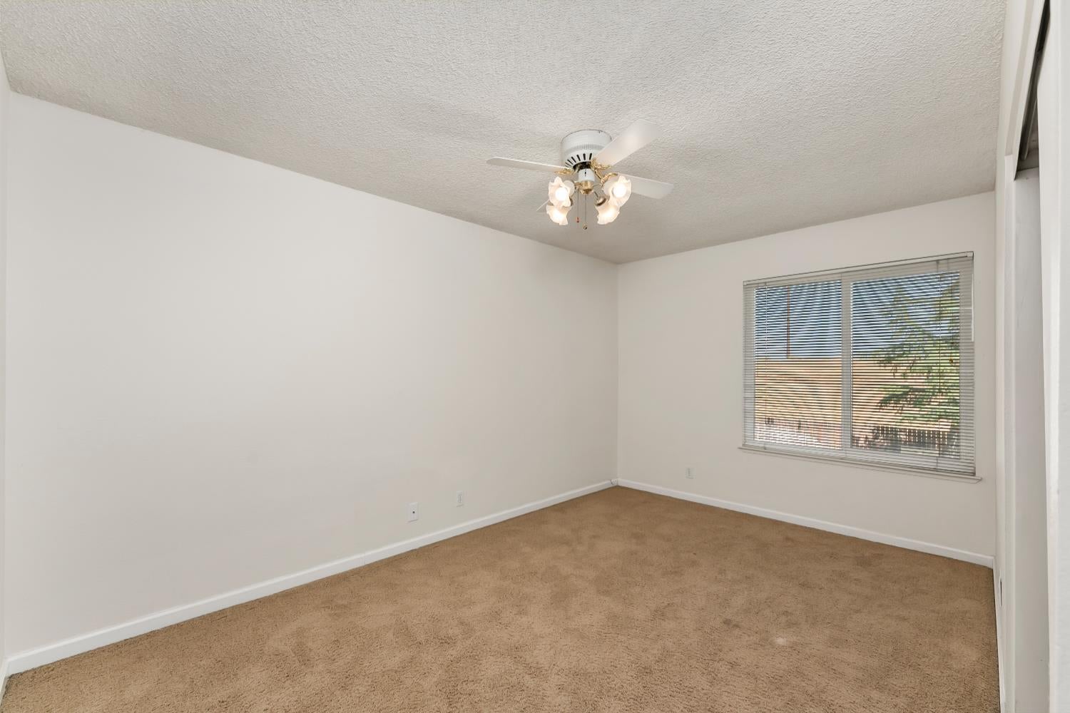 1293 Nadene Drive
