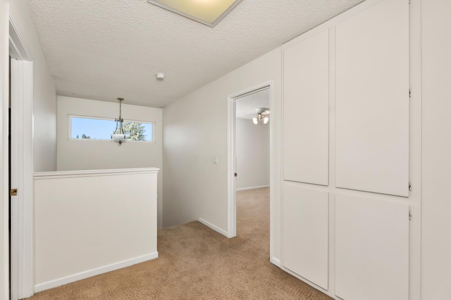 1293 Nadene Drive