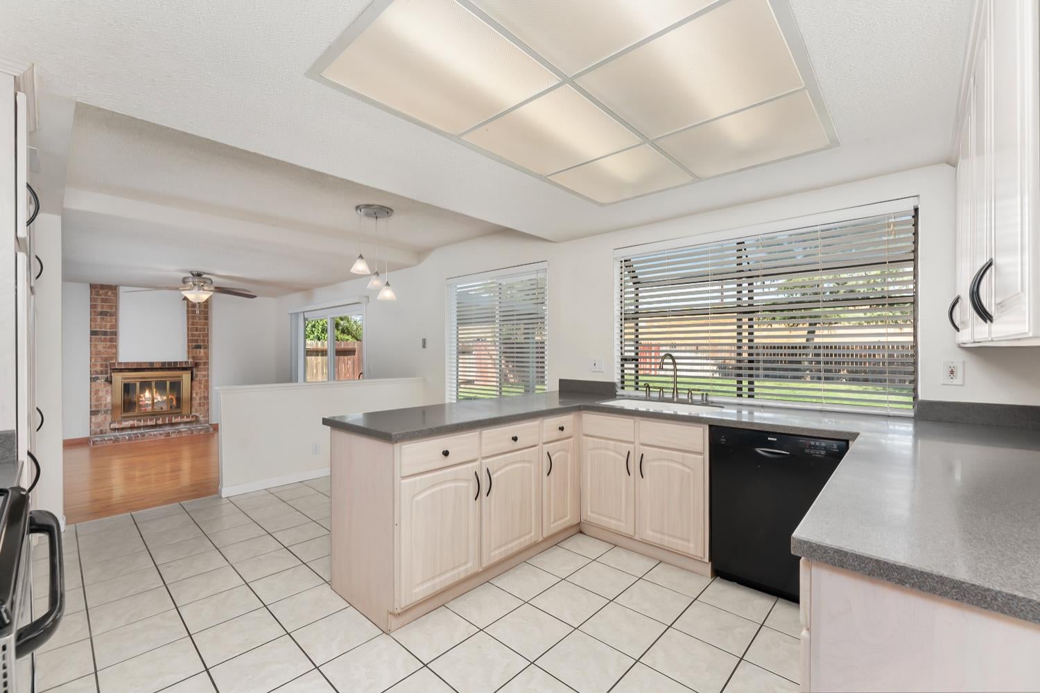 1293 Nadene Drive