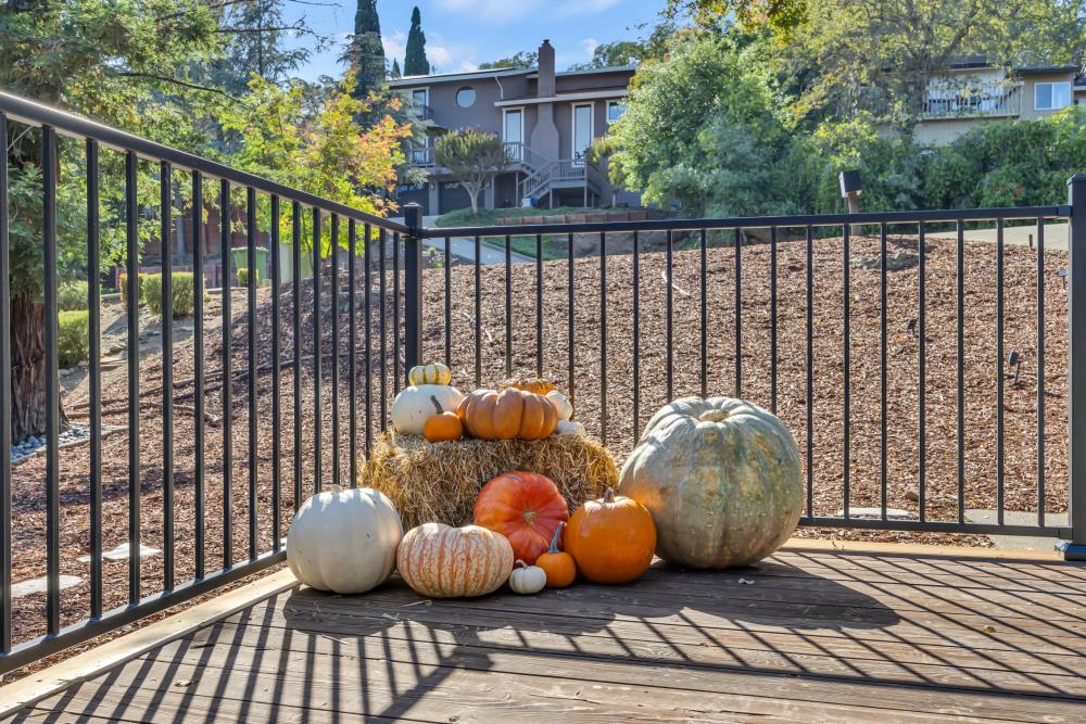 3539 Ridgeview Drive