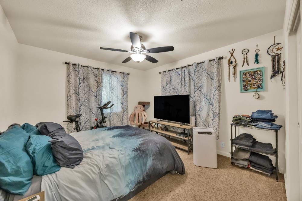 2960 Back Pack Trail