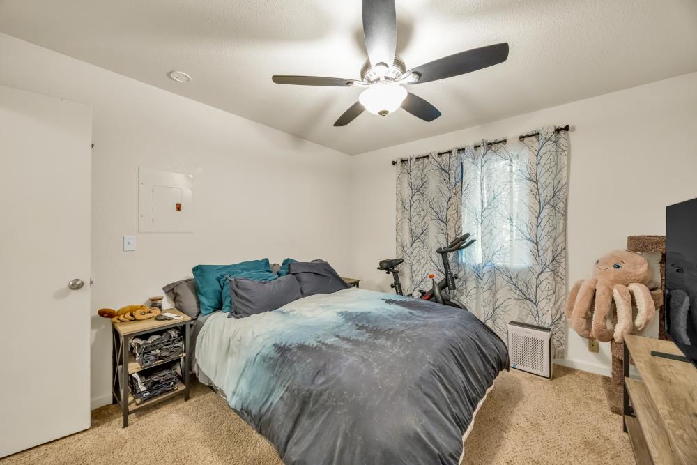 2960 Back Pack Trail