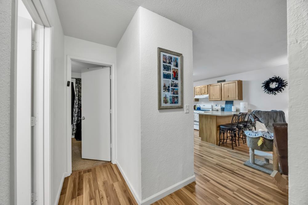 2960 Back Pack Trail