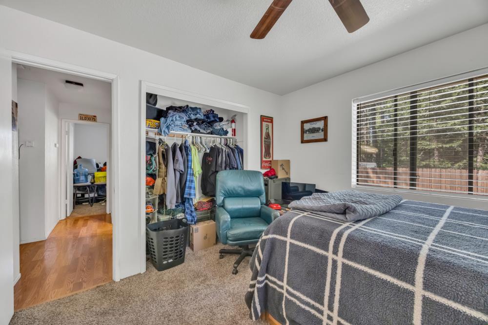 2960 Back Pack Trail