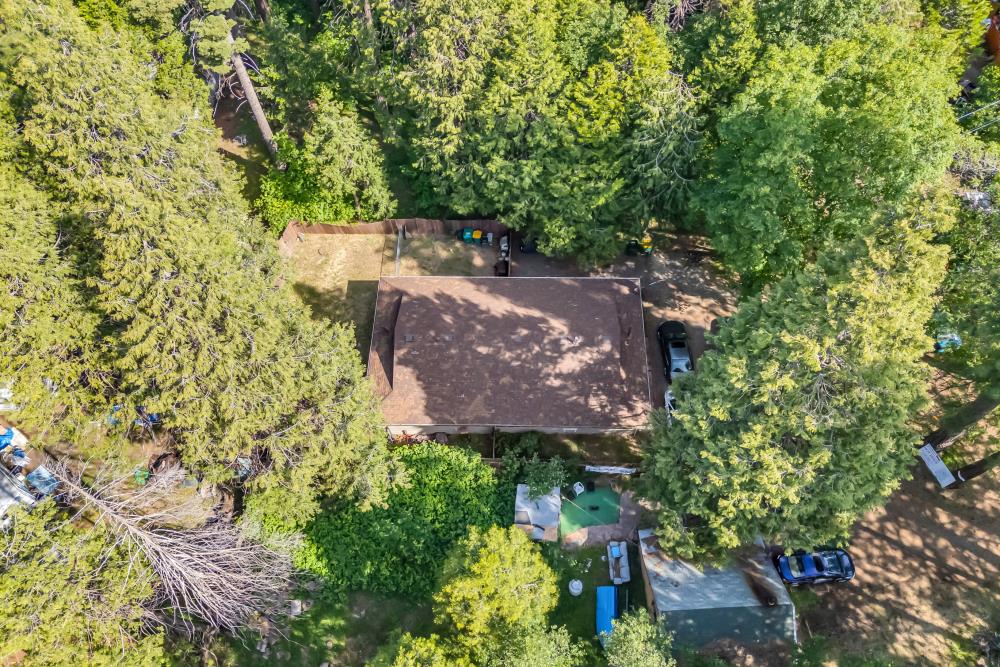 2960 Back Pack Trail