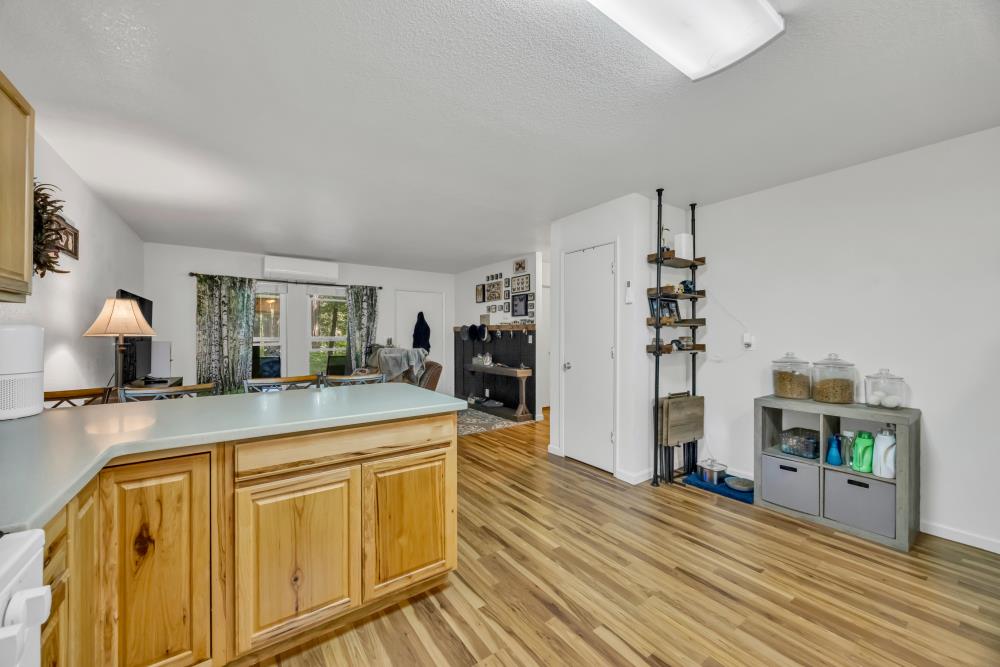 2960 Back Pack Trail