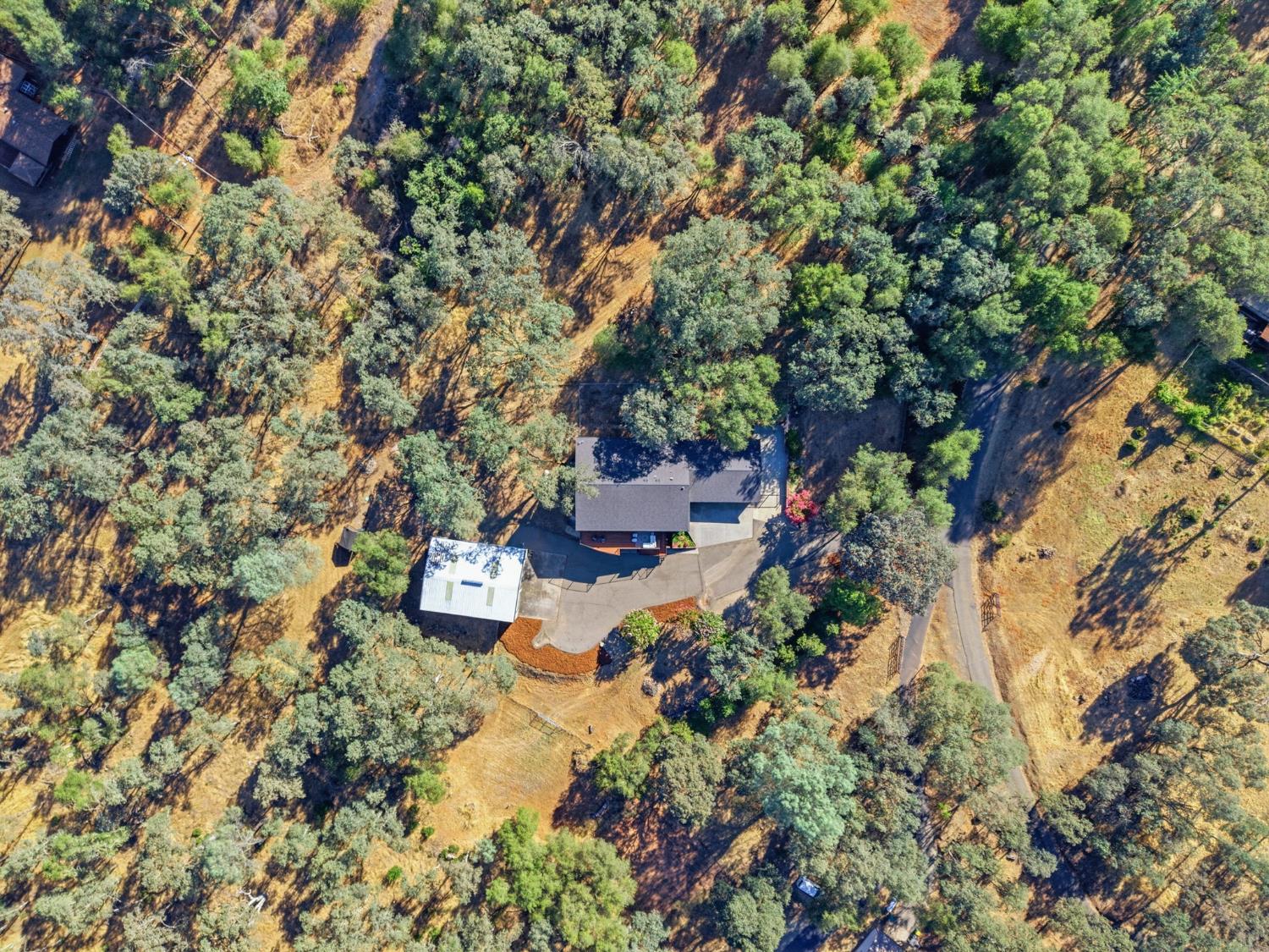 2601 Deer Brush Lane