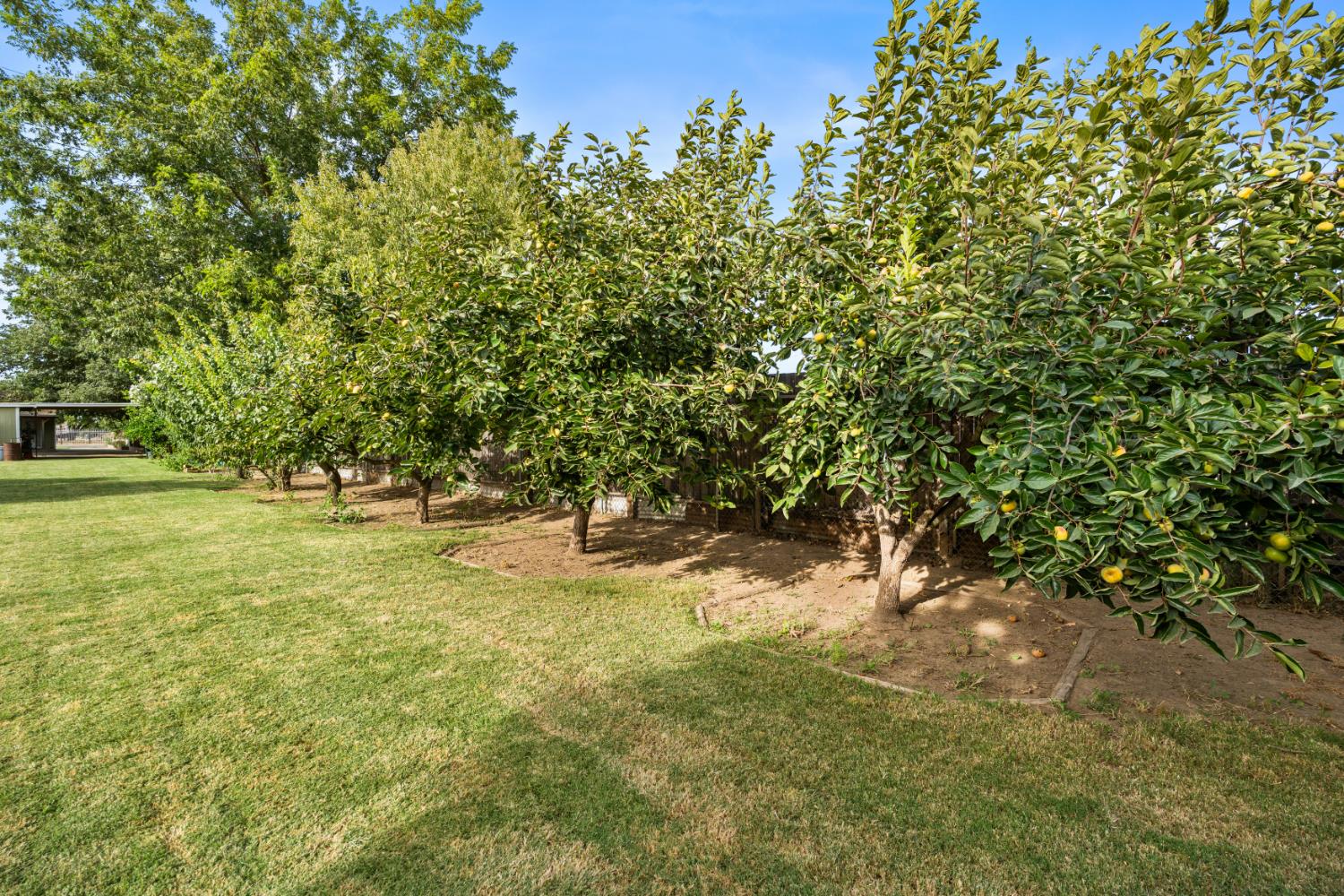 4904 E Harvest Road