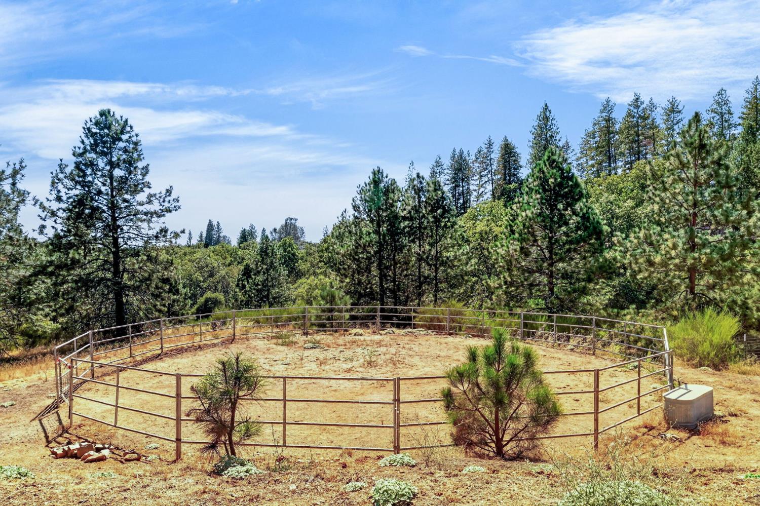 4040 Mount Rushnomore Road