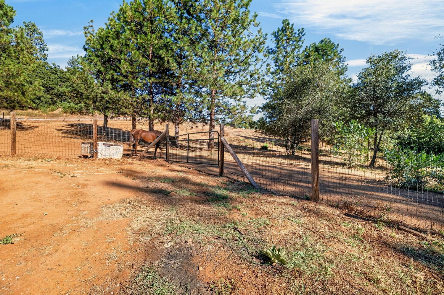 4040 Mount Rushnomore Road