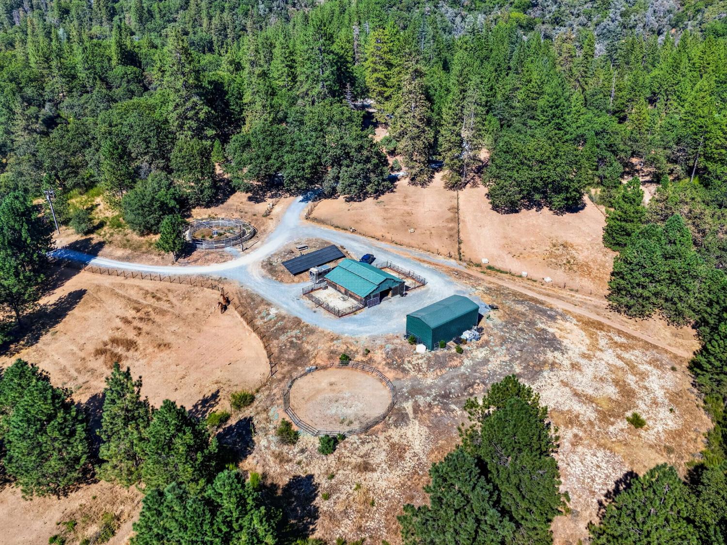 4040 Mount Rushnomore Road