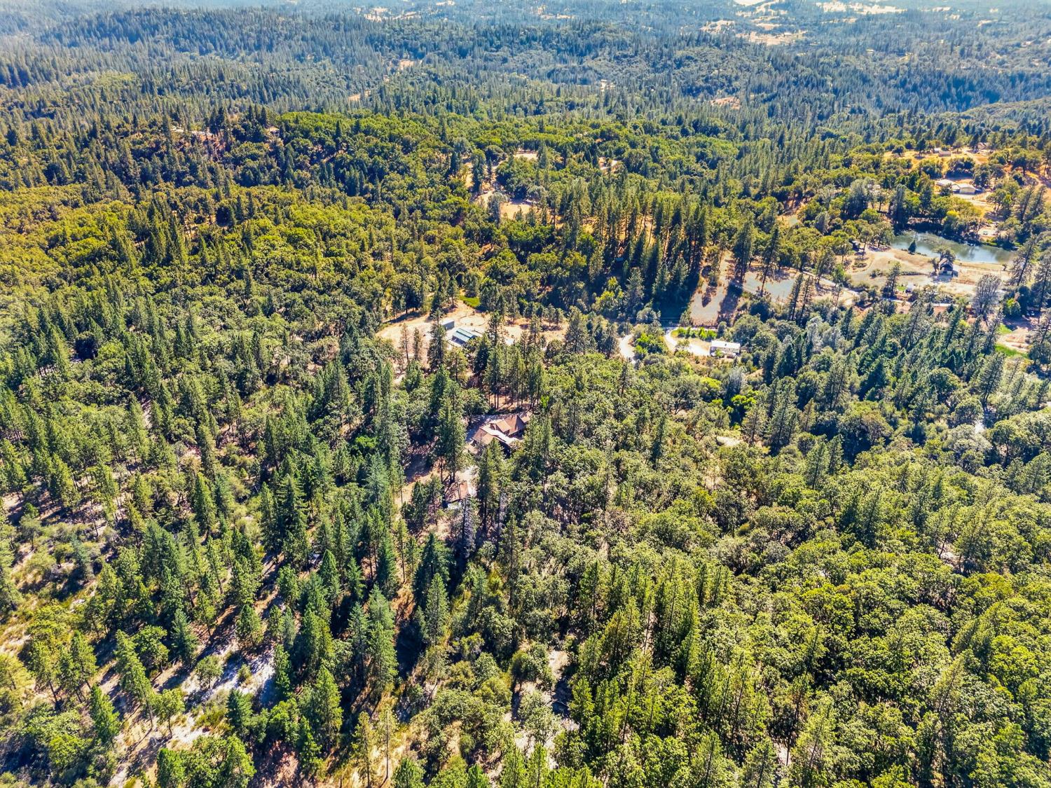 4040 Mount Rushnomore Road