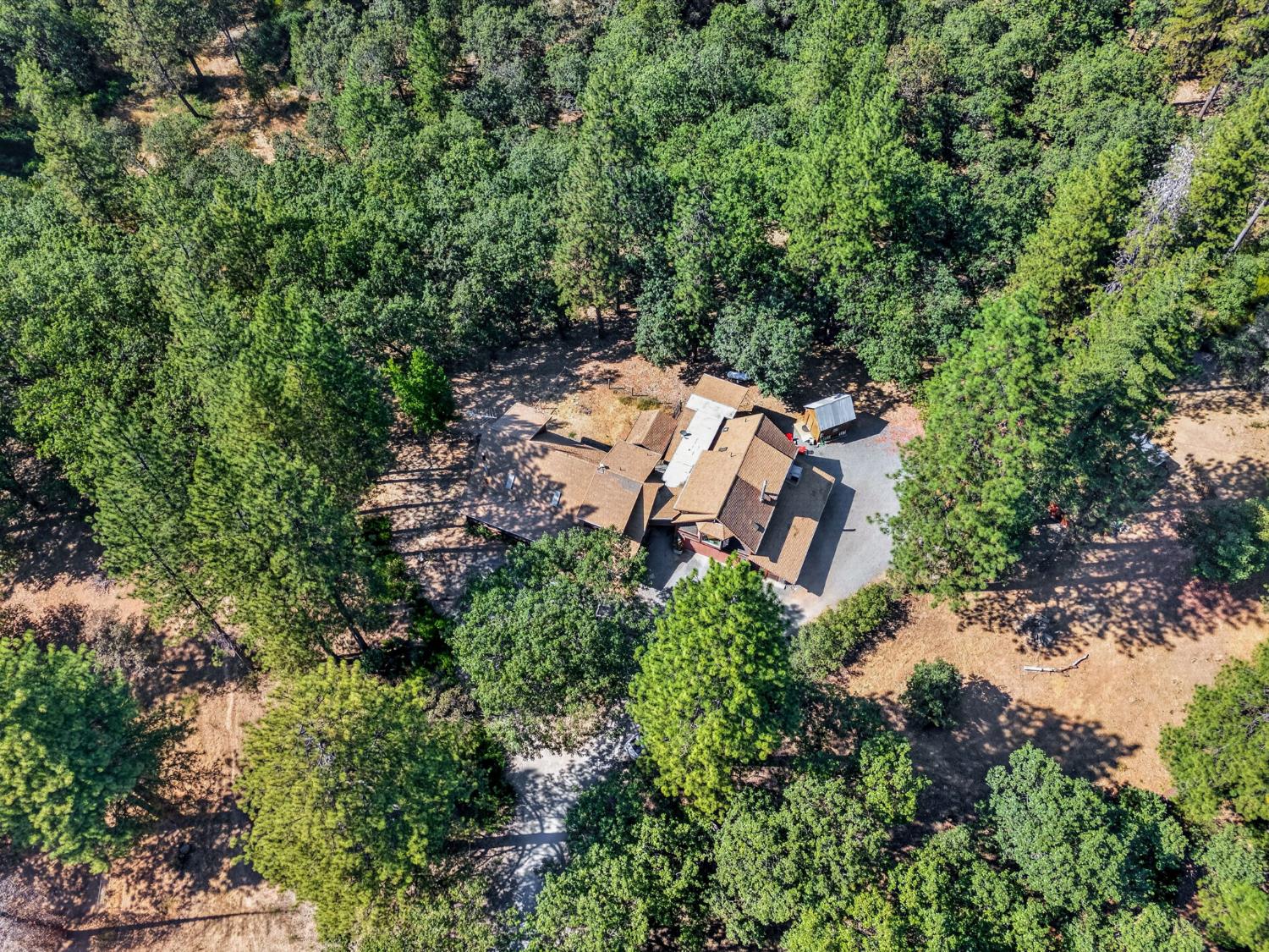 4040 Mount Rushnomore Road