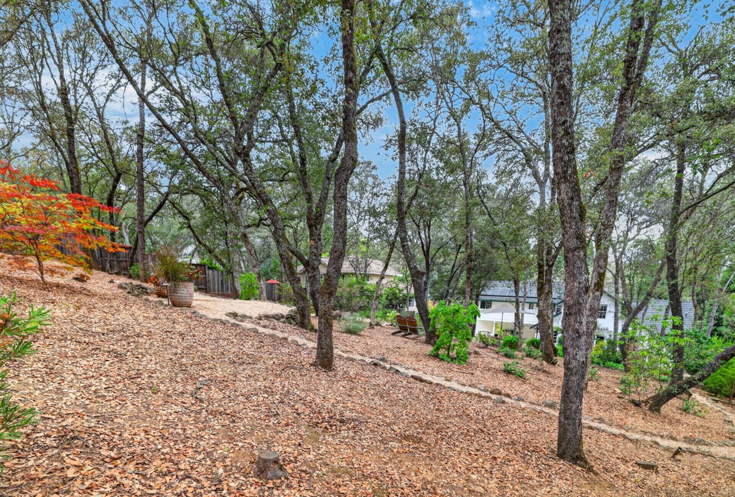 1942 Sheffield Drive