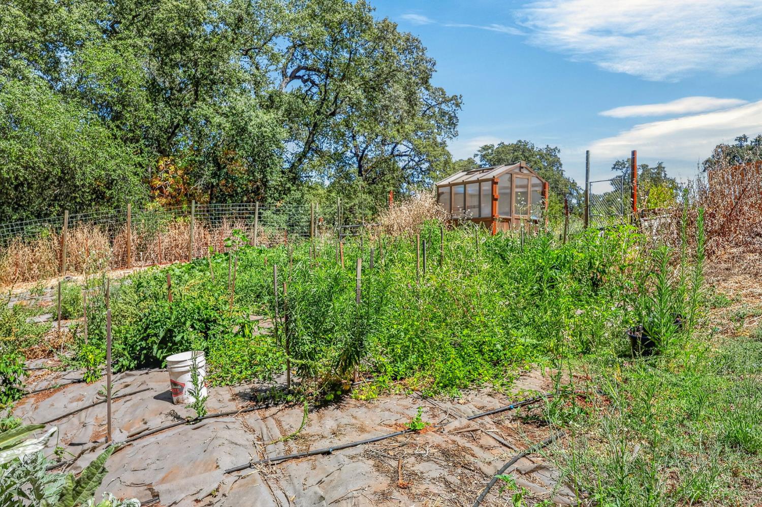 2402 Deer Valley Road