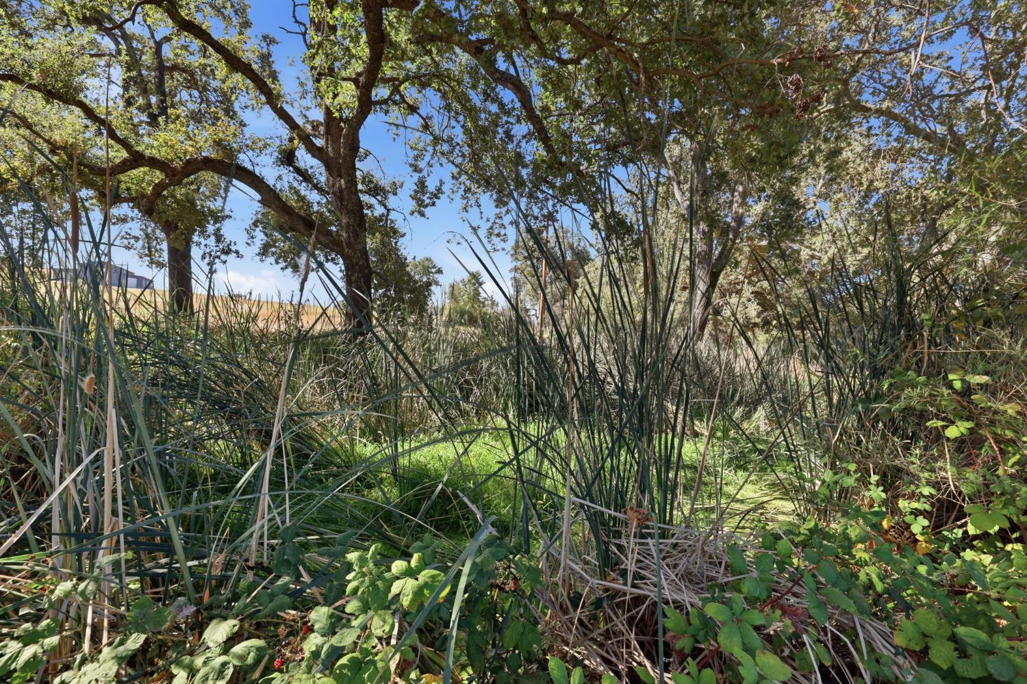 2402 Deer Valley Road