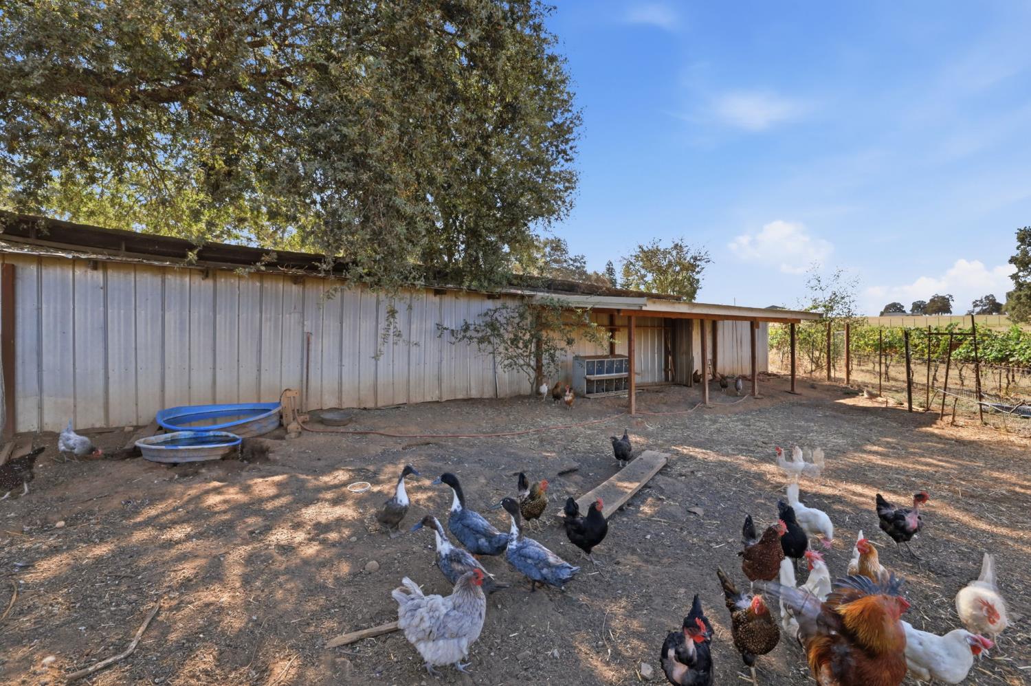 2402 Deer Valley Road
