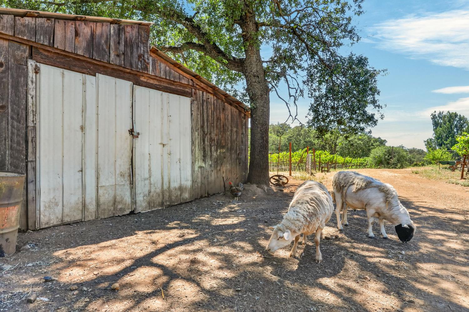 2402 Deer Valley Road