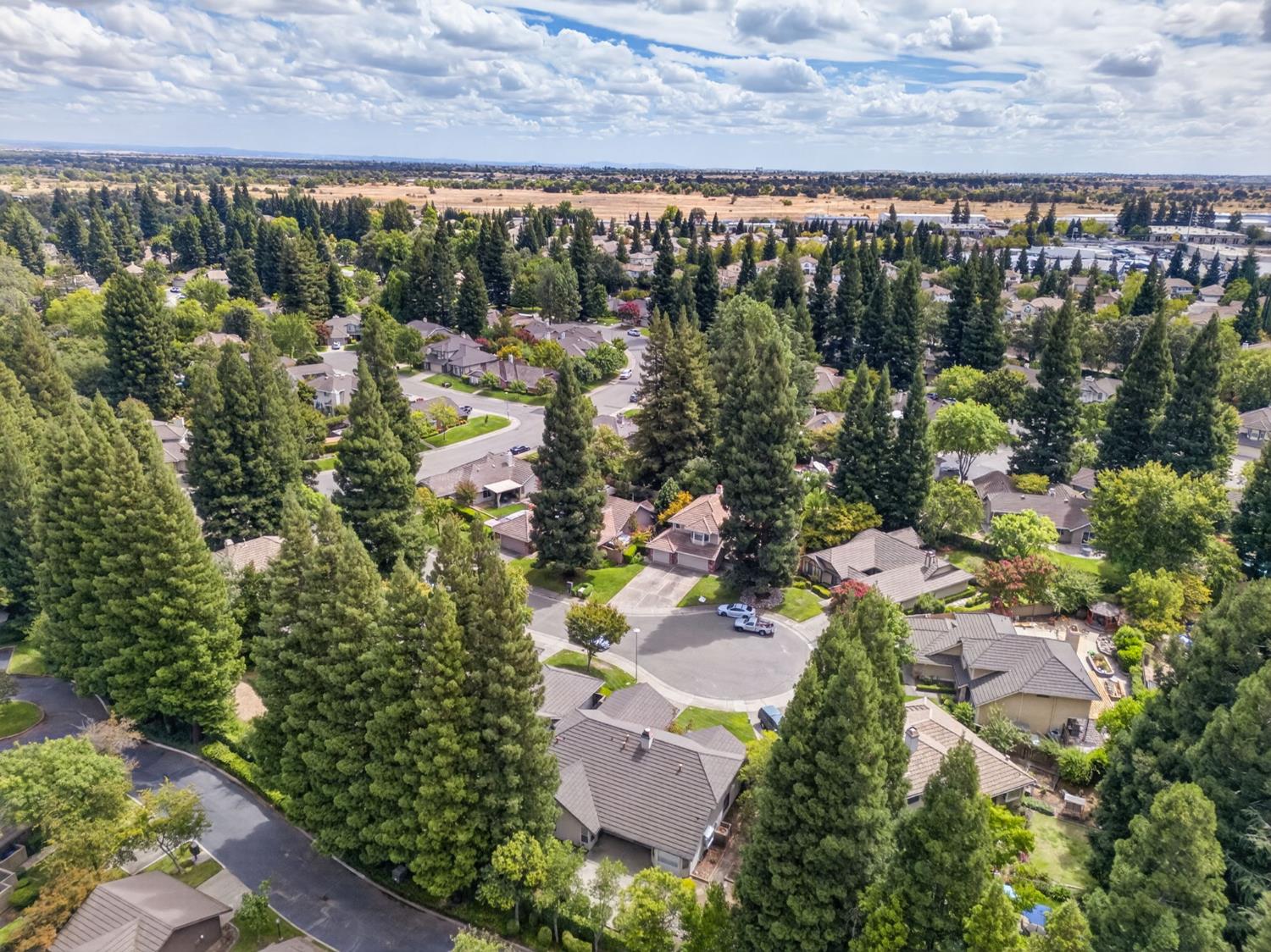 11445 Secrettown Court