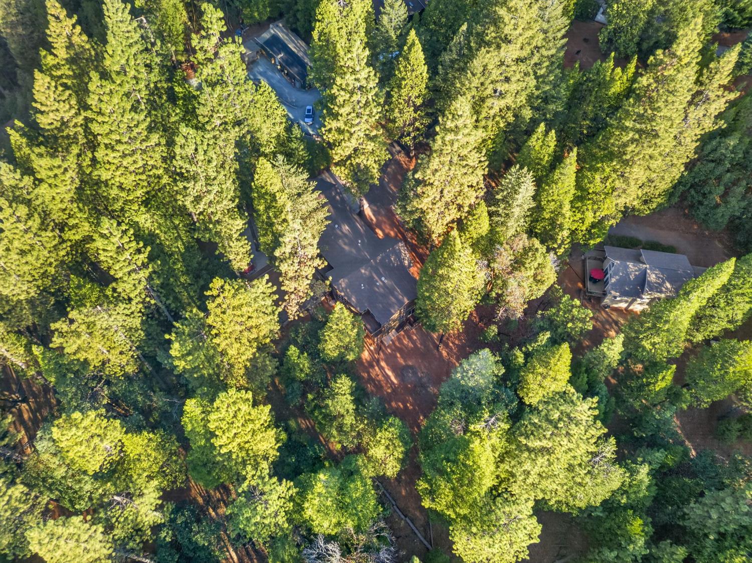 25980 Forest Knoll Court