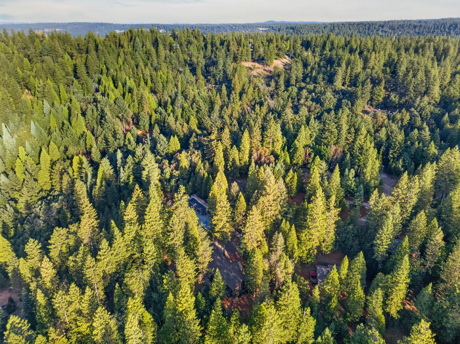 25980 Forest Knoll Court