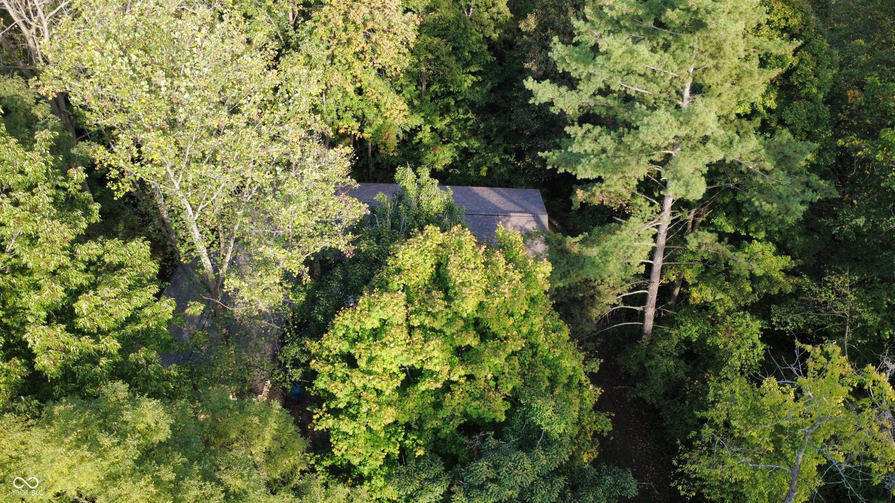9103 Sargent Road