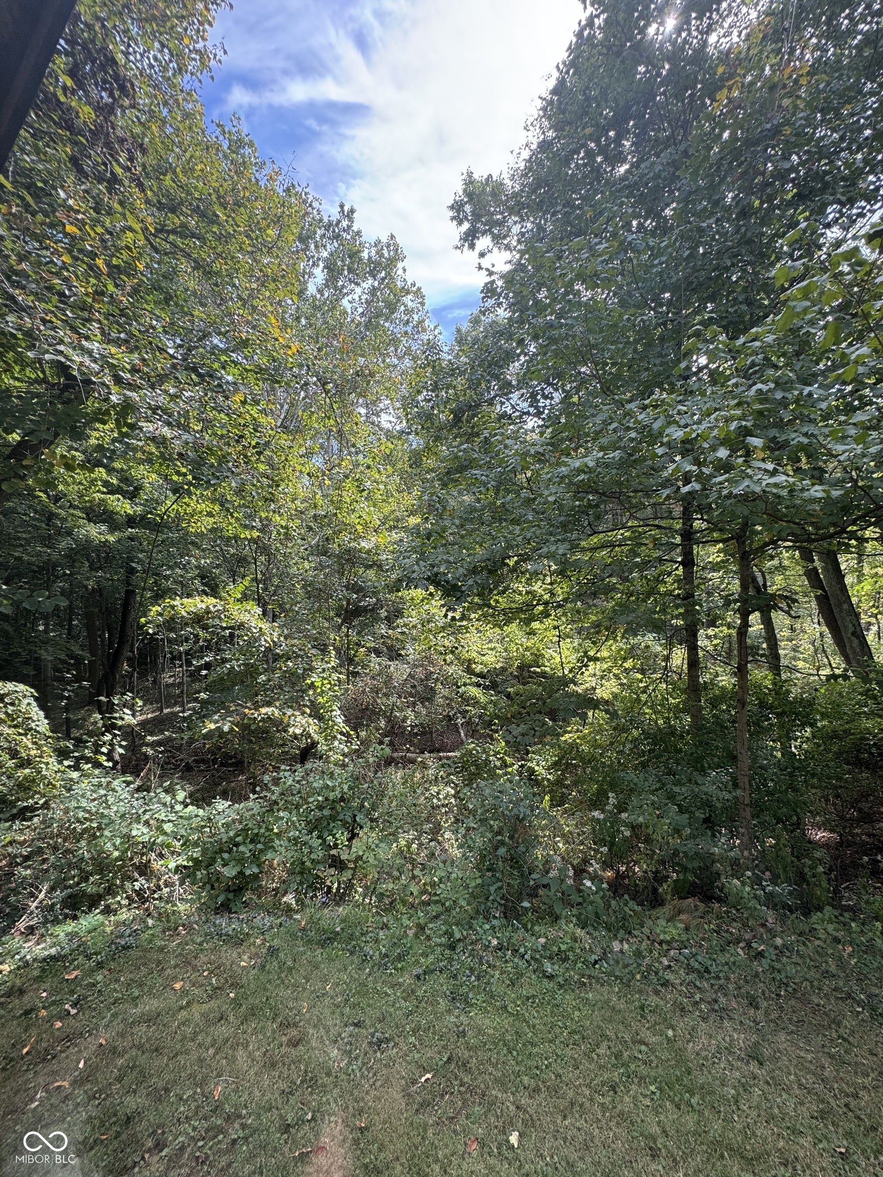 9103 Sargent Road
