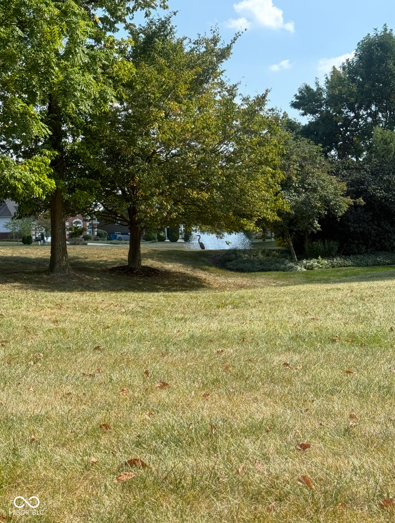 11761 Sand Creek Boulevard