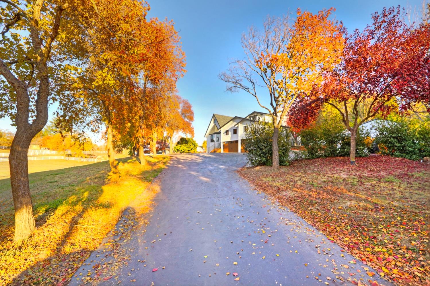 7500 Mountain Avenue