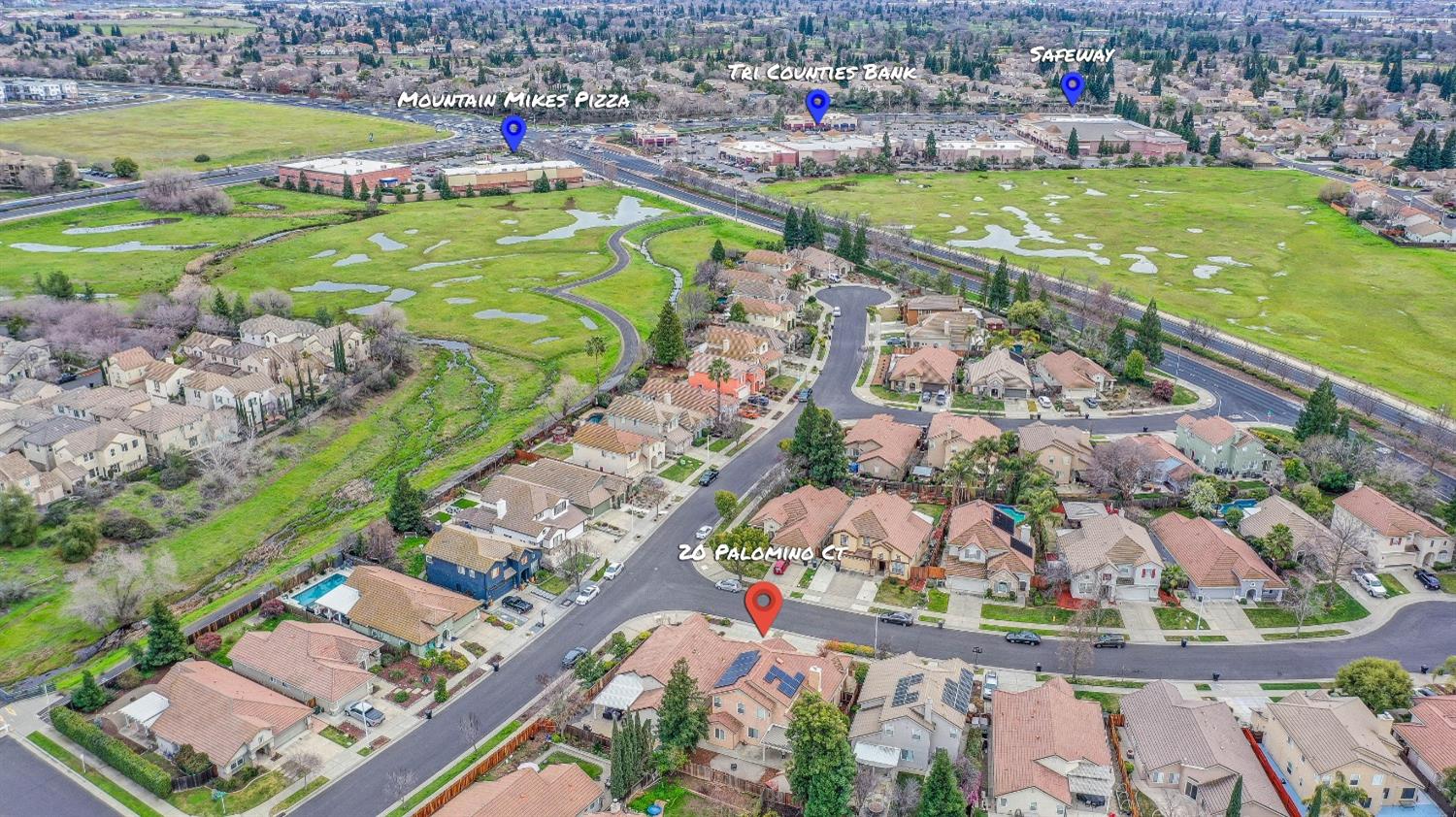 20 Palomino Court