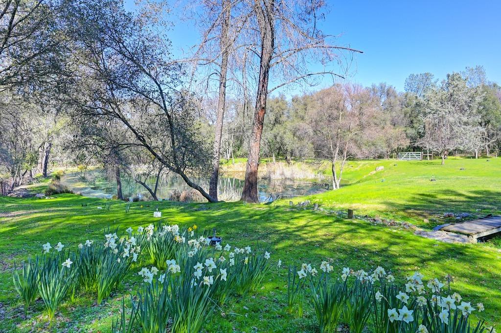 2079 Country Hill Run