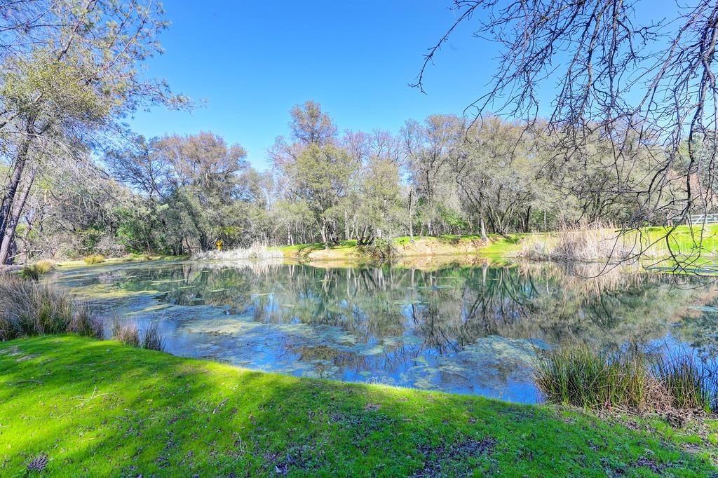 2079 Country Hill Run