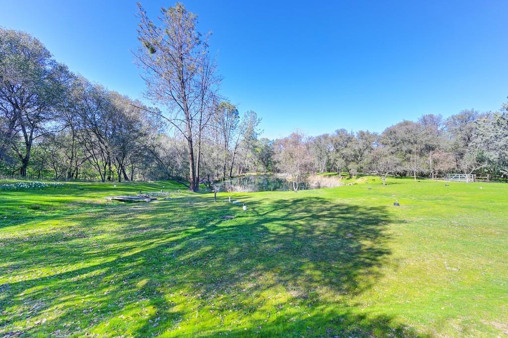 2079 Country Hill Run