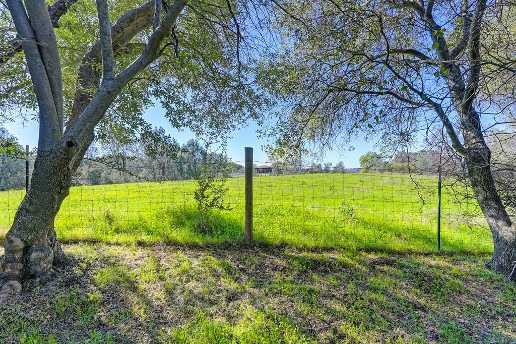 2079 Country Hill Run