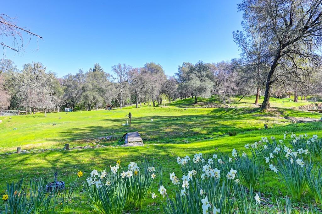 2079 Country Hill Run