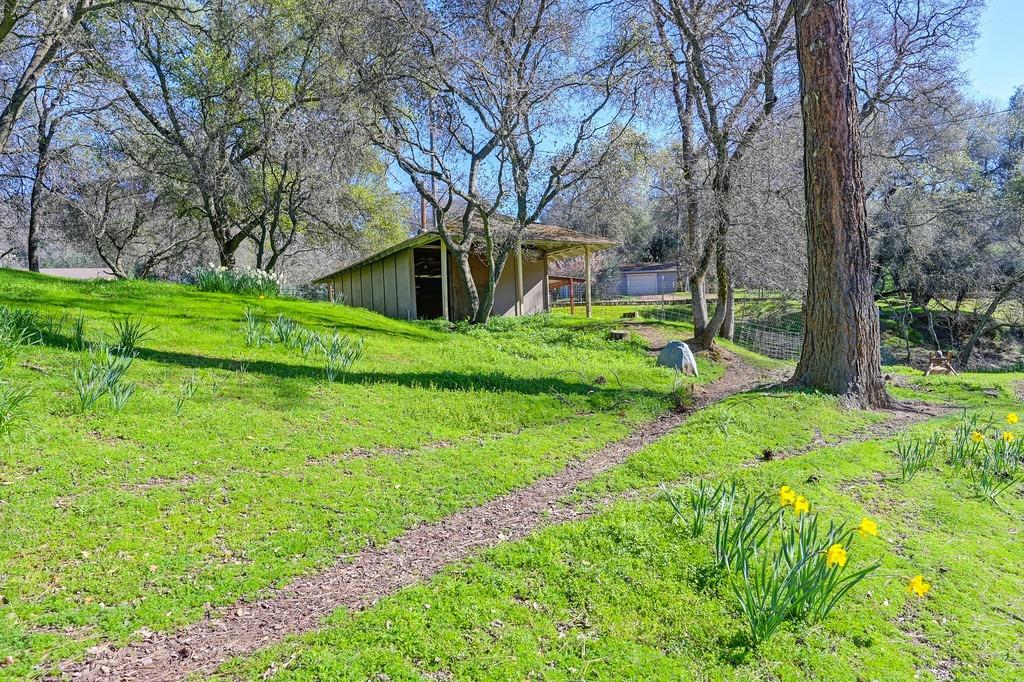 2079 Country Hill Run