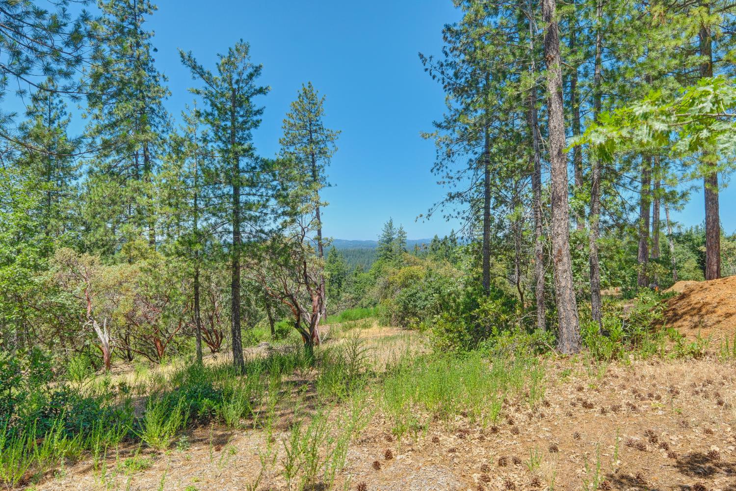 17200 Mountain View Drive