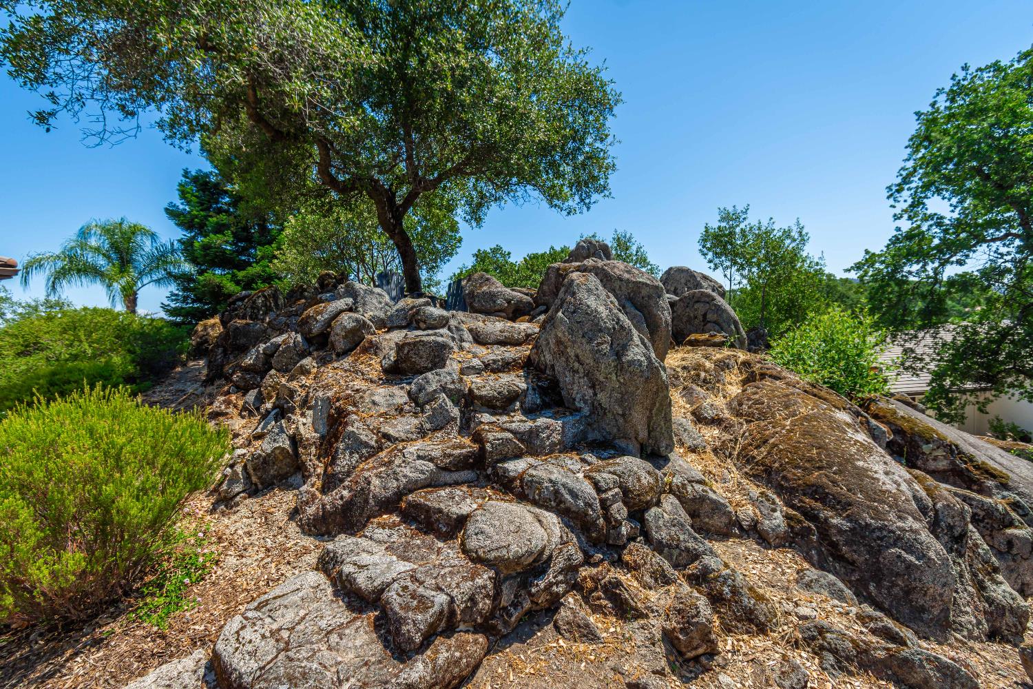 9709 Rim Rock Circle