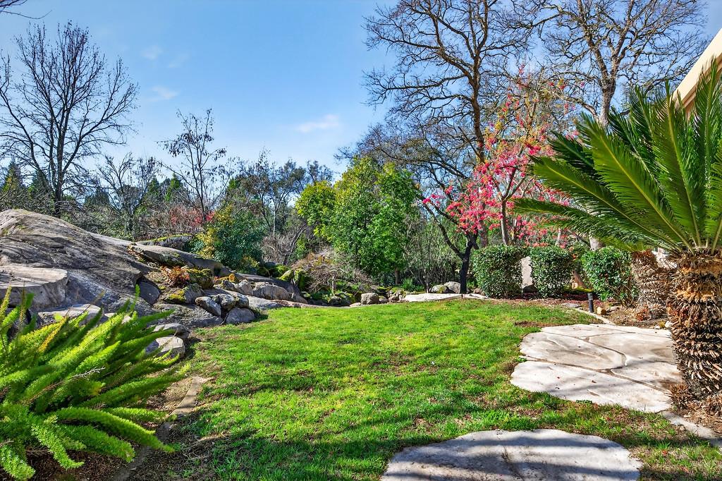 9035 Camino Del Avion