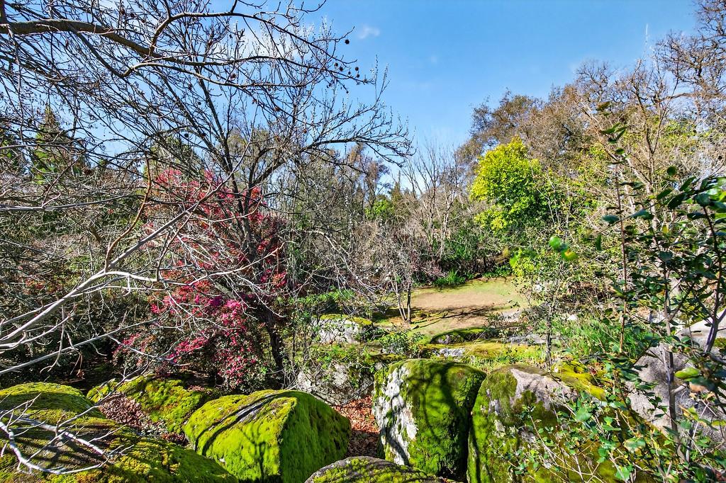 9035 Camino Del Avion