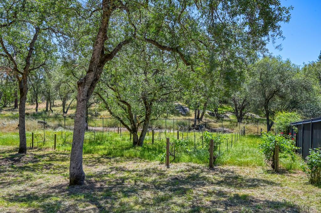 6275 Barcelona Court