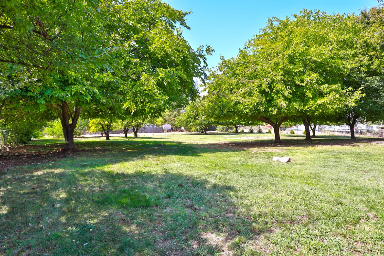 9695 Oak Leaf Way