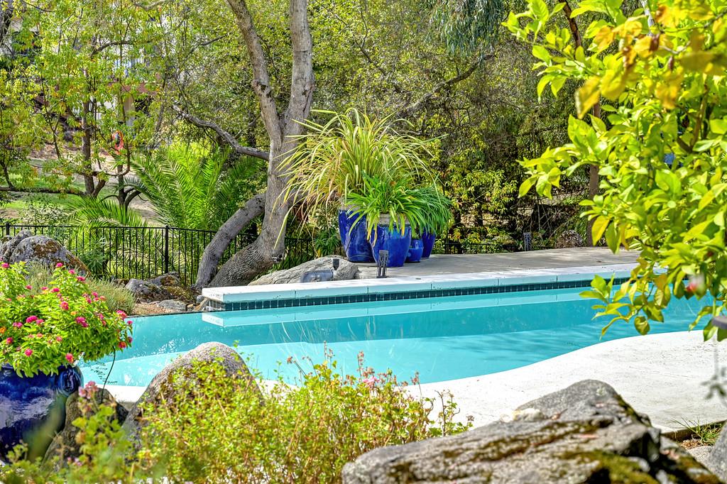 Swimming pool surrounded by mature trees, rocks, and colorful flowering plants.