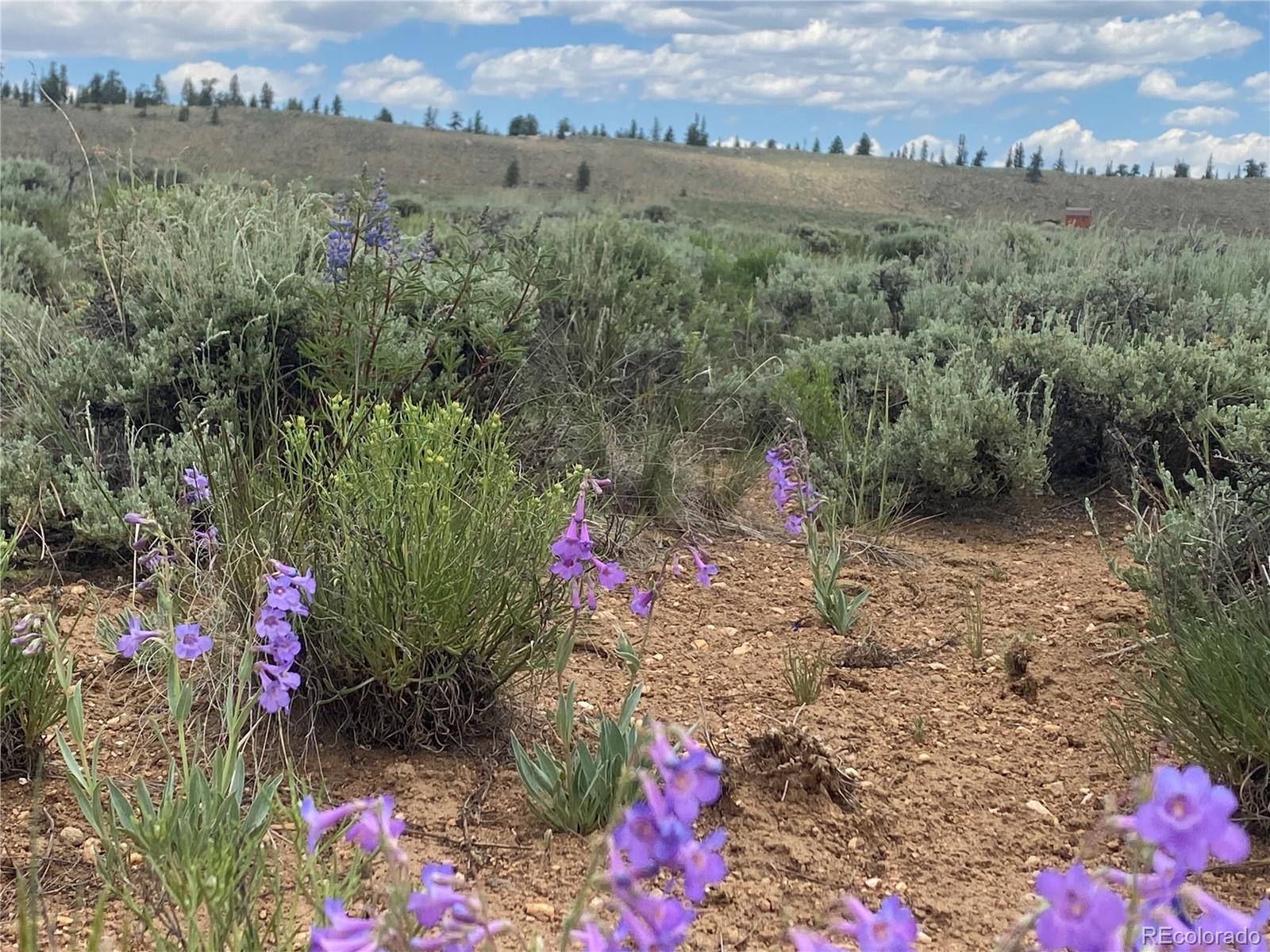 Decagon Loop, Parcel 12