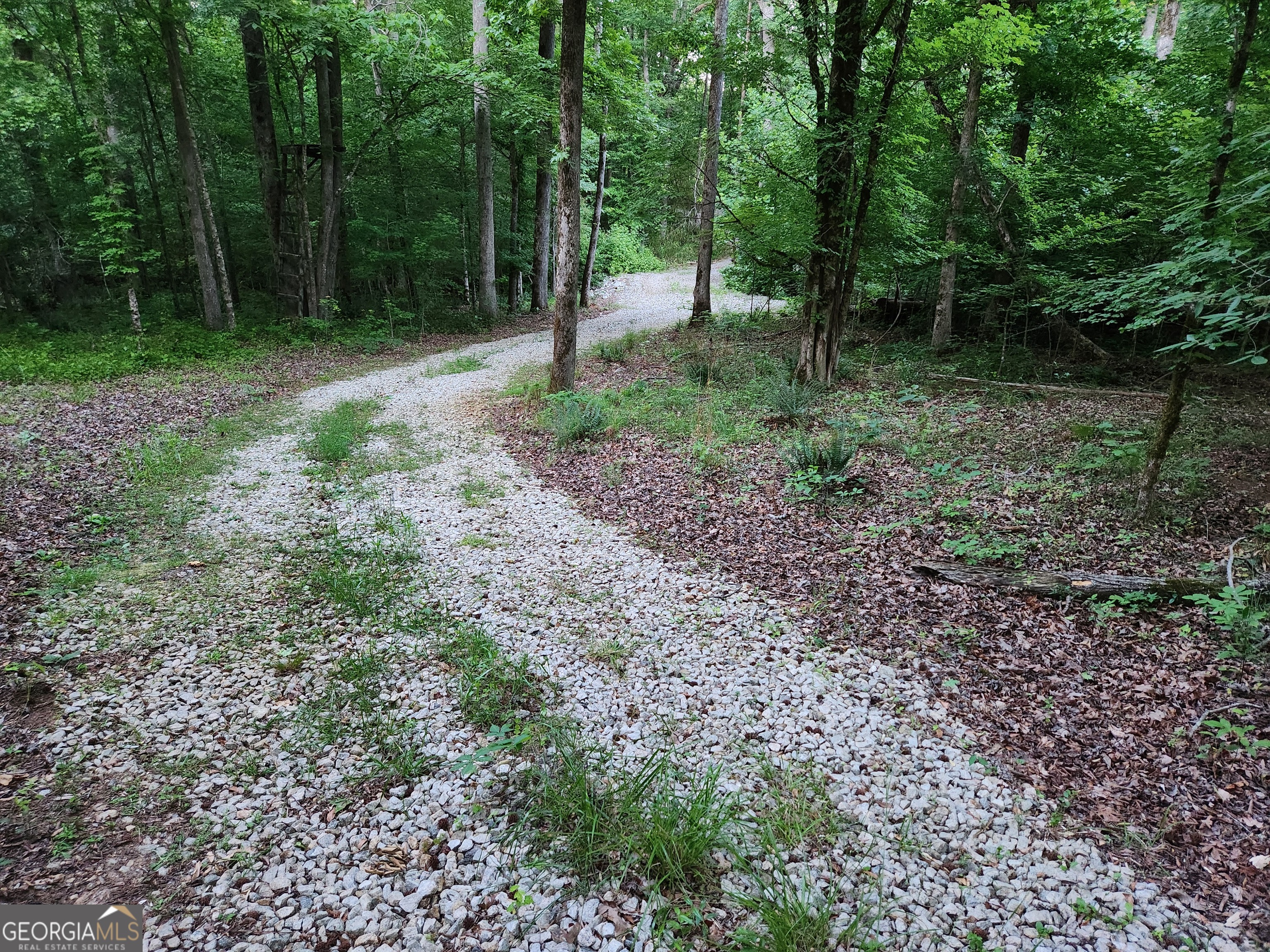840 Amelia Road