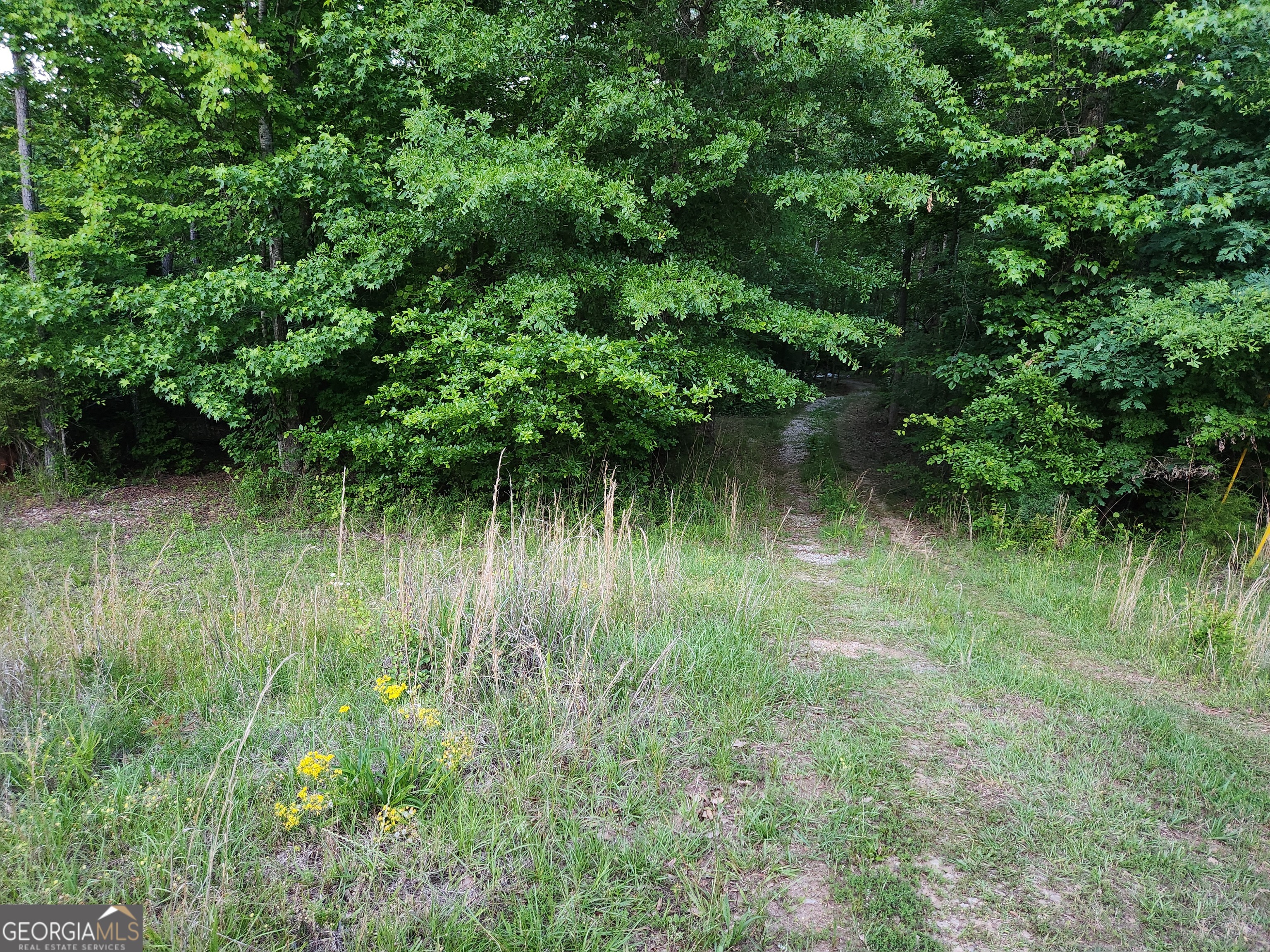 840 Amelia Road