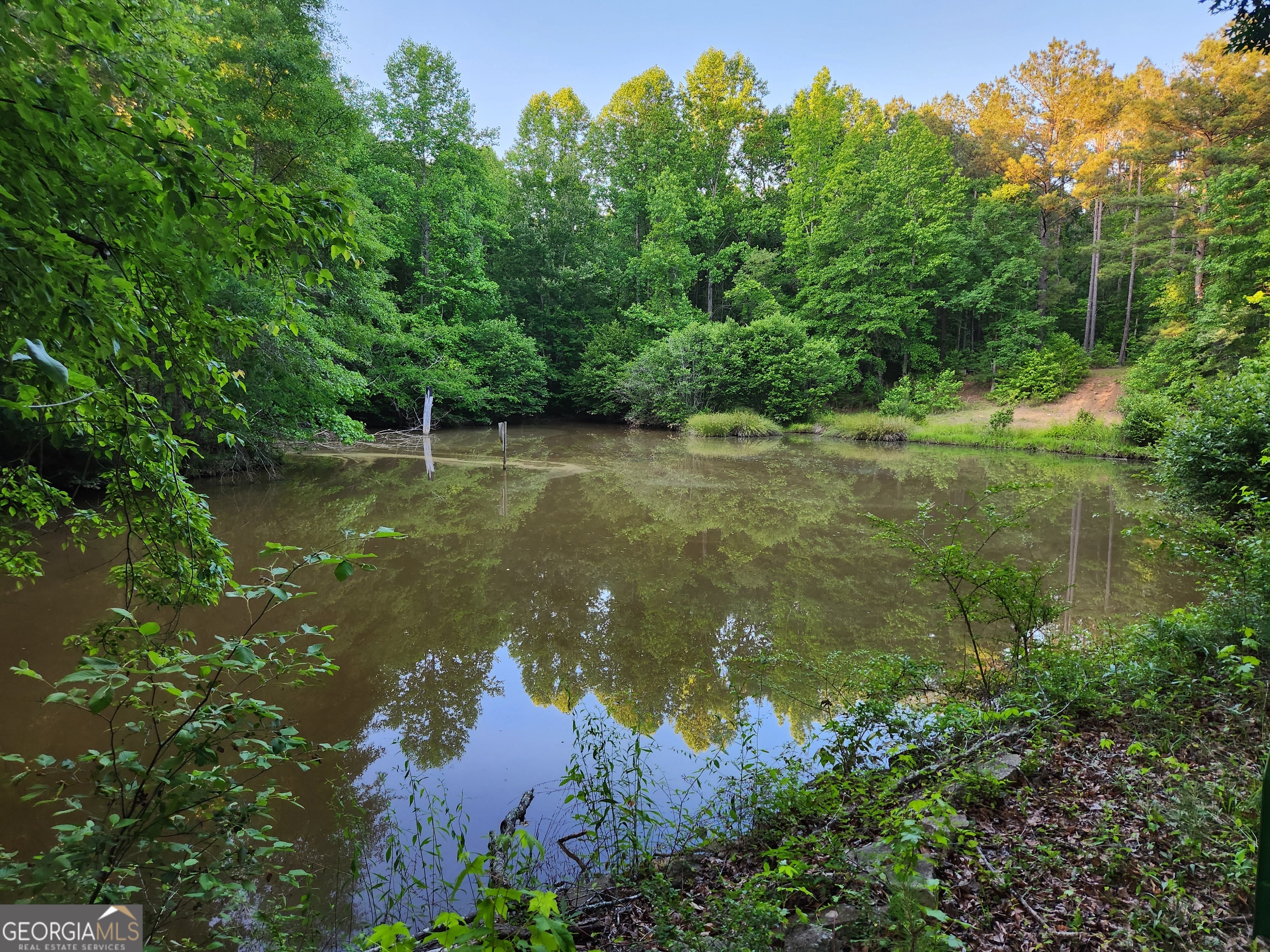 840 Amelia Road