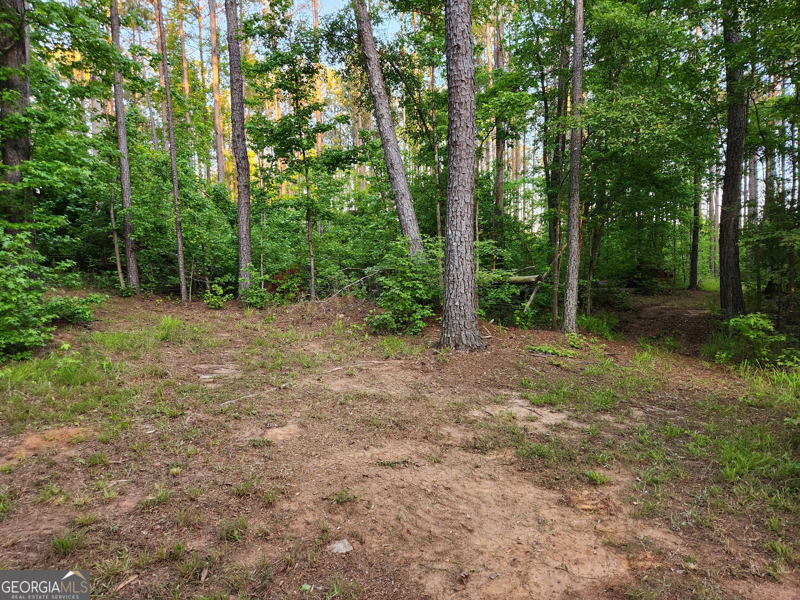 840 Amelia Road