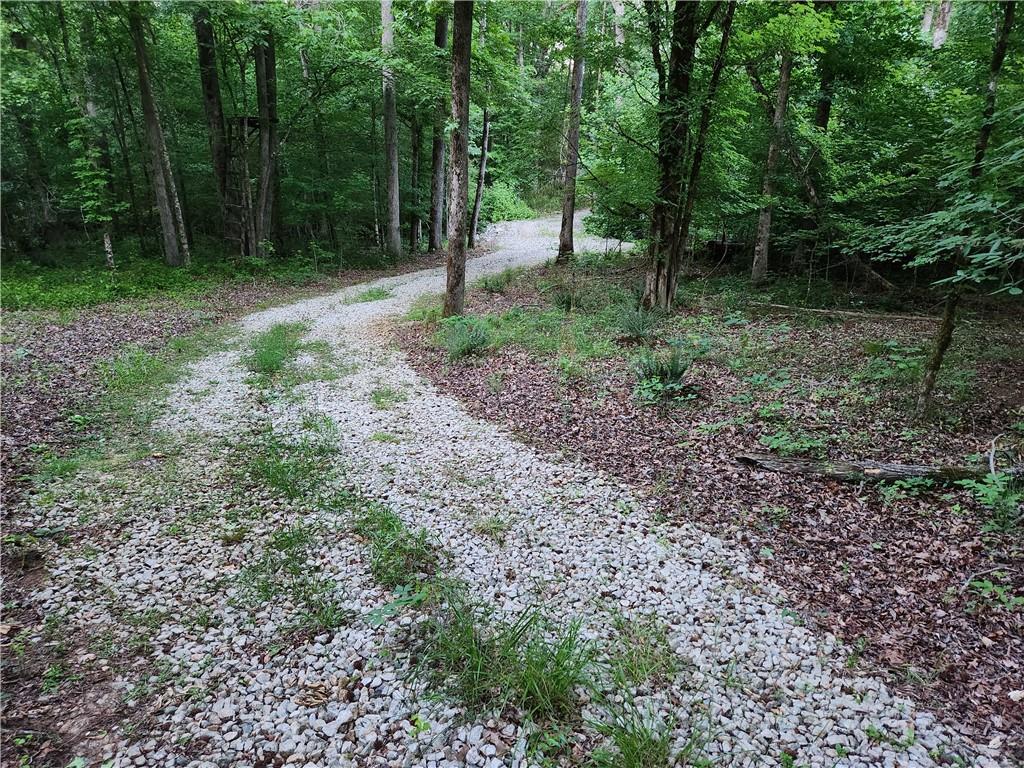 840 Amelia Road